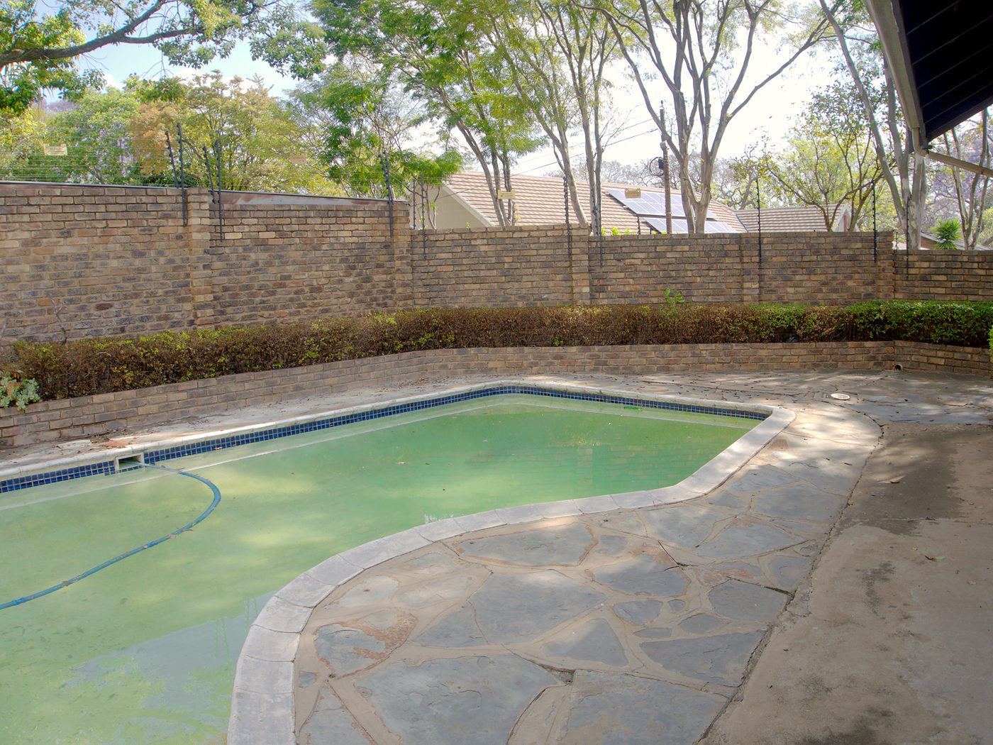 Pool at @61 Mackenzie